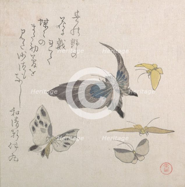 Butterflies, 19th century. Creator: Kubo Shunman.