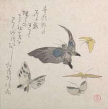 Butterflies, 19th century. Creator: Kubo Shunman