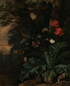 Butterflies and Flowers, between 1655 and 1673. Creator: Abraham Jansz Begeyn