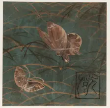 Butterflies and grasses, Edo period, early 17th century. Creator: Hon'ami Kôetsu