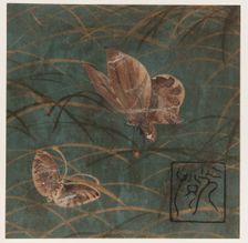 Butterflies and grasses, Edo period, early 17th century. Creator: Hon'ami Kôetsu