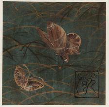 Butterflies and grasses, Edo period, early 17th century. Creator: Hon'ami Kôetsu