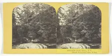 Buttermilk Creek, Ithaca, N.Y. Steeple Rock from below, 50 feet, 1860/65. Creator: J. C. Burritt