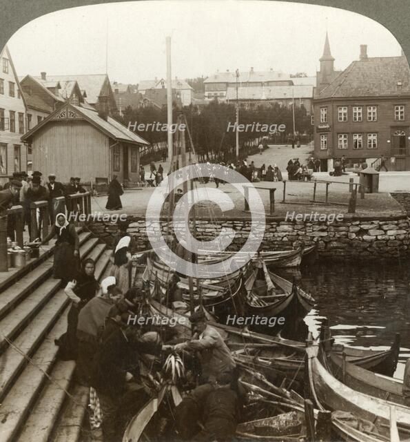 'Buying fish in a busy Arctic trading port, Tromsoe (69° 38' N. Lat.), Northern Norway', 1902. Creator: Unknown.