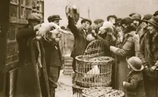 Buying live poultry at a Pedlars Market at the Caledonian Market, London, 20th century. Creator: Unknown