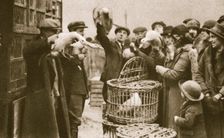Buying live poultry at a Pedlars Market at the Caledonian Market, London, 20th century. Creator: Unknown