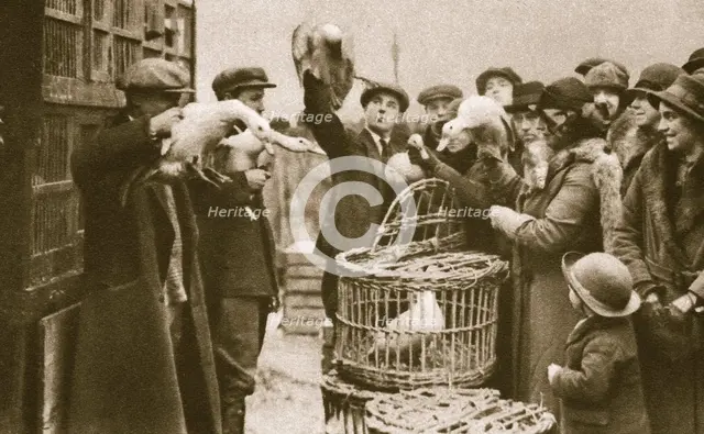 Buying live poultry at a 'Pedlars' Market' at the Caledonian Market, London, 20th century. Creator: Unknown.