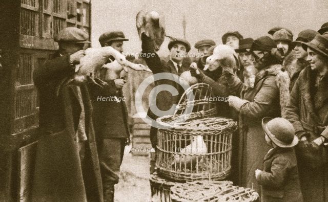 Buying live poultry at a 'Pedlars' Market' at the Caledonian Market, London, 20th century. Creator: Unknown.