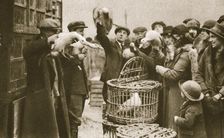 Buying live poultry at a Pedlars Market at the Caledonian Market, London, 20th century