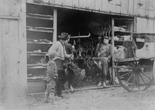 Buying Thanksgiving turkey, between c1910 and c1915. Creator: Bain News Service