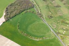 Buzbury Rings, Keynston Down, Dorset, 2015. Creator: Damian Grady
