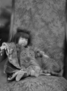 Buzzer the cat, portrait photograph, ca. 1912. Creator: Arnold Genthe