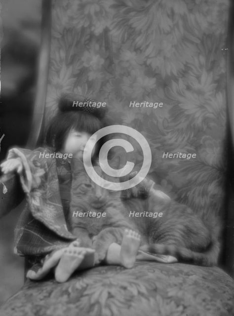 Buzzer the cat, portrait photograph, ca. 1912. Creator: Arnold Genthe.