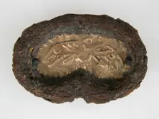 Buckle, Frankish, 6th-7th century. Creator: Unknown