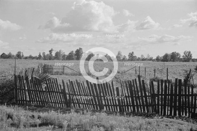 Bud Fields' garden, Hale County, Alabama, 1936. Creator: Walker Evans.