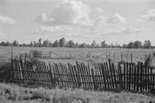 Bud Fields garden, Hale County, Alabama, 1936. Creator: Walker Evans