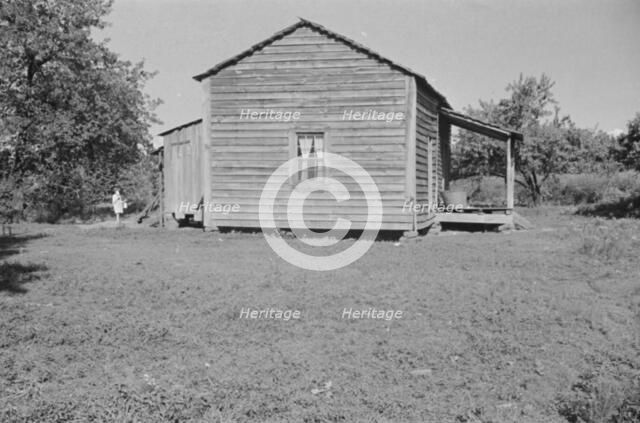 Bud Fields' home, Hale County, Alabama, 1936. Creator: Walker Evans.