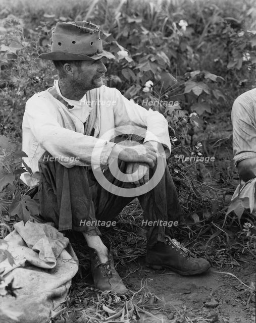 Bud Fields in his cotton patch, Hale County, Alabama, 1936. Creator: Walker Evans.