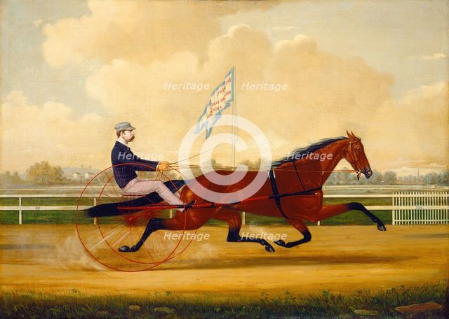 Budd Doble Driving Goldsmith Maid at Belmont Driving Park, 1876. Creator: Charles S. Humphreys.