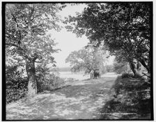 Budd's Lake, N.J., c1900. Creator: Unknown