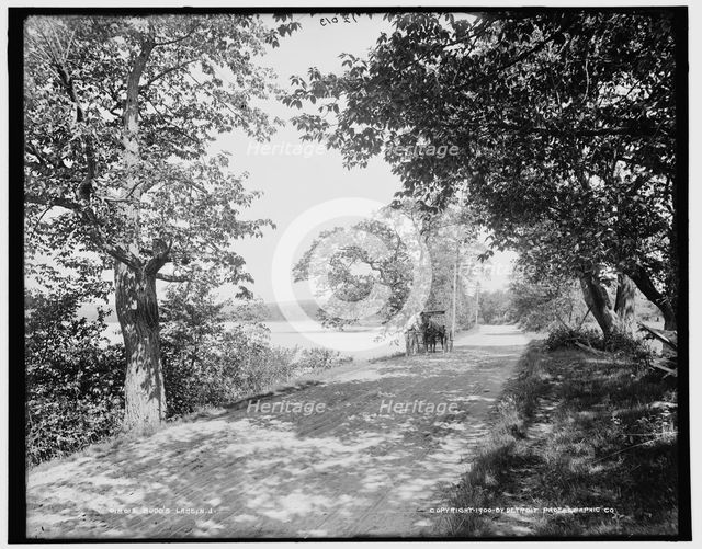 Budd's Lake, N.J., c1900. Creator: Unknown.