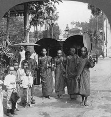 Buddhist monks with sunshades and fans, Rangoon, Burma, 1908. Artist: Stereo Travel Co