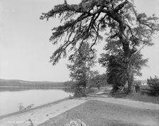 Budd's Lake, N.J., between 1900 and 1906. Creator: Unknown