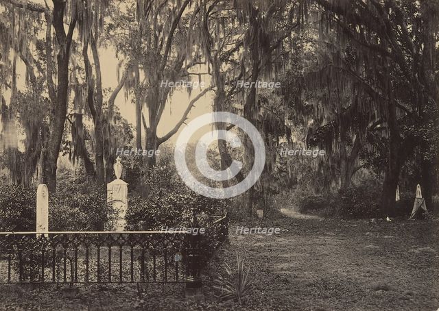 Buen-Ventura, Savanah, Georgia, 1860s. Creator: George N. Barnard.