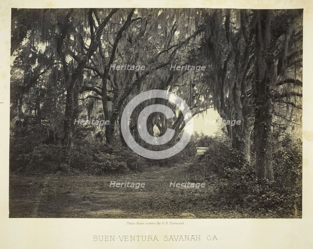 Buen-Ventura Savannah, Ga., 1866. Creator: George N. Barnard.