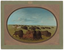Buffalo Chase, with Accidents, 1861/1869. Creator: George Catlin