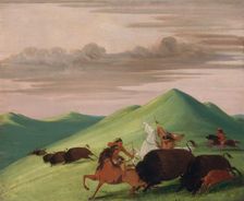 Buffalo Chase, Bull Protecting a Cow and Calf, 1832-1833. Creator: George Catlin