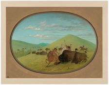Buffalo Chase - Bulls Protecting the Calves, 1861/1869. Creator: George Catlin