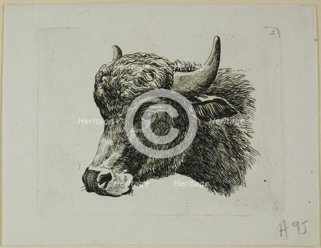 Buffalo Head Facing Left, from Die Zweite Thierfolge, 1799/1803. Creator: Johann Christian Reinhart.