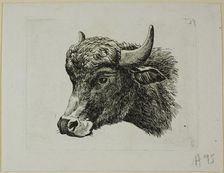 Buffalo Head Facing Left, from Die Zweite Thierfolge, 1799/1803. Creator: Johann Christian Reinhart