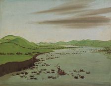Buffalo Herds Crossing the Upper Missouri, 1832. Creator: George Catlin