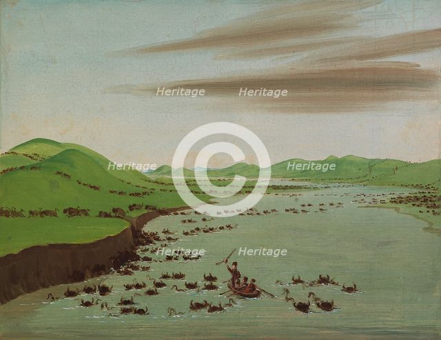 Buffalo Herds Crossing the Upper Missouri, 1832. Creator: George Catlin.