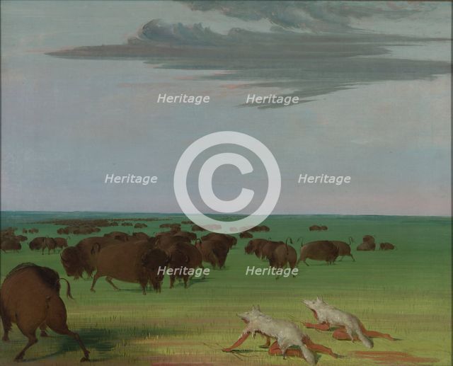 Buffalo Hunt under the Wolf-skin Mask, 1832-1833. Creator: George Catlin.