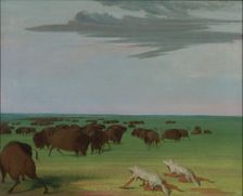 Buffalo Hunt under the Wolf-skin Mask, 1832-1833. Creator: George Catlin