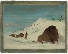 Buffalo Lancing in the Snow Drifts - Sioux, 1861/1869. Creator: George Catlin