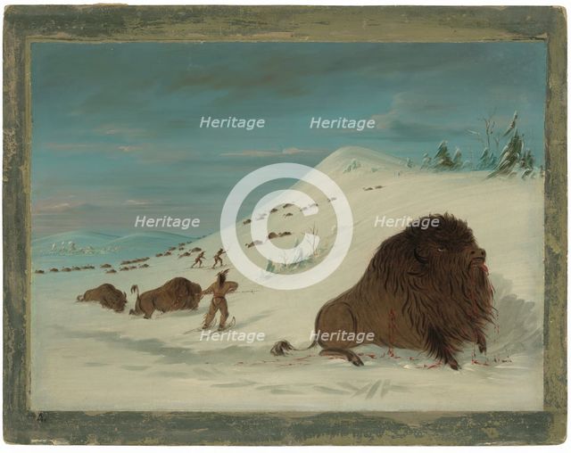 Buffalo Lancing in the Snow Drifts - Sioux, 1861/1869. Creator: George Catlin.