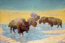Buffalo Scene, 1922. Creator: Emil W. Lenders