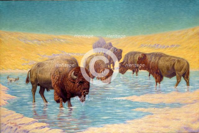 Buffalo Scene, 1922. Creator: Emil W. Lenders.