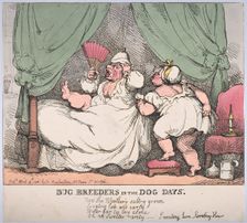 Bug Breeders in the Dog Days, April 4, 1812., April 4, 1812. Creator: Thomas Rowlandson