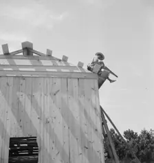 Building barn for tobacco, near Chapel Hill, North Carolina, 1939. Creator: Dorothea Lange