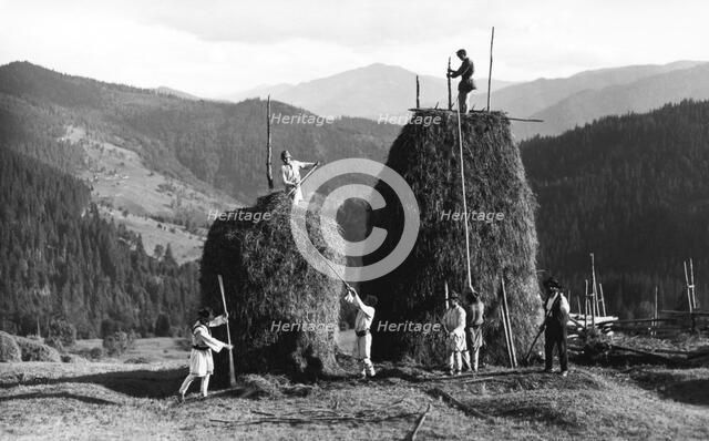 Building haystacks at harvest time, Bistrita Valley, Moldavia, north-east Romania, c1920-c1945. Artist: Adolph Chevalier