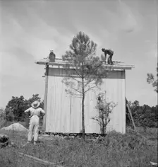Building plank tobacco barn to replace old log one, near Chapel Hill, North Carolina, 1939 Creator: Dorothea Lange