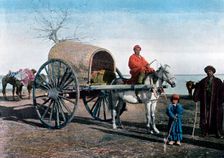 Bukhara wagon, Uzbekistan, c1890. Artist: Gillot