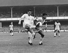 Bulgaria vs Brazil, FIFA World Cup, Goodison Park, Liverpool, 1966. Creator: Unknown