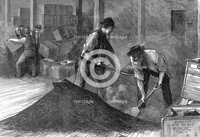 Bulking tea in the warehouses of the East & West India Dock Company, London, 1874. Creator: Unknown.