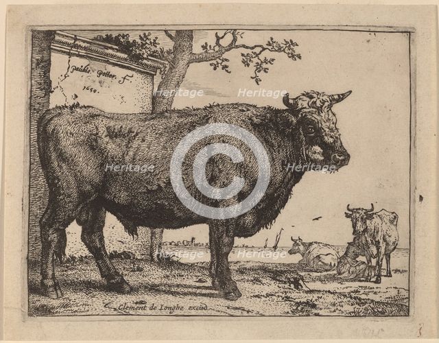 Bull, 1650. Creator: Paulus Potter.